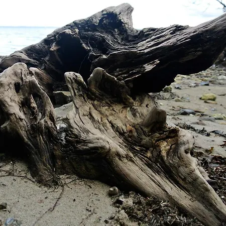 Seaside Bliss In Hejlsminde - By Traum Dom wakacyjny Hejls
