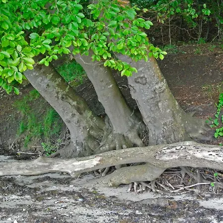 Seaside Bliss In Hejlsminde - By Traum Dom wakacyjny