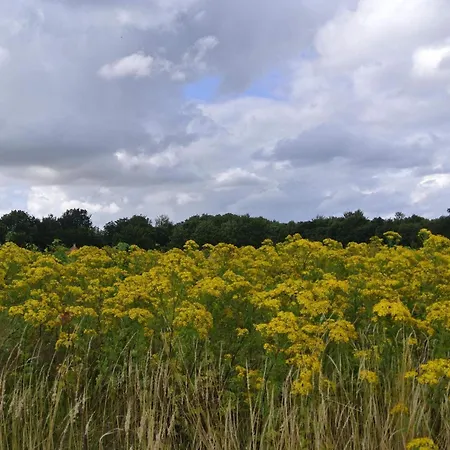 Dom wakacyjny Seaside Bliss In Hejlsminde - By Traum *